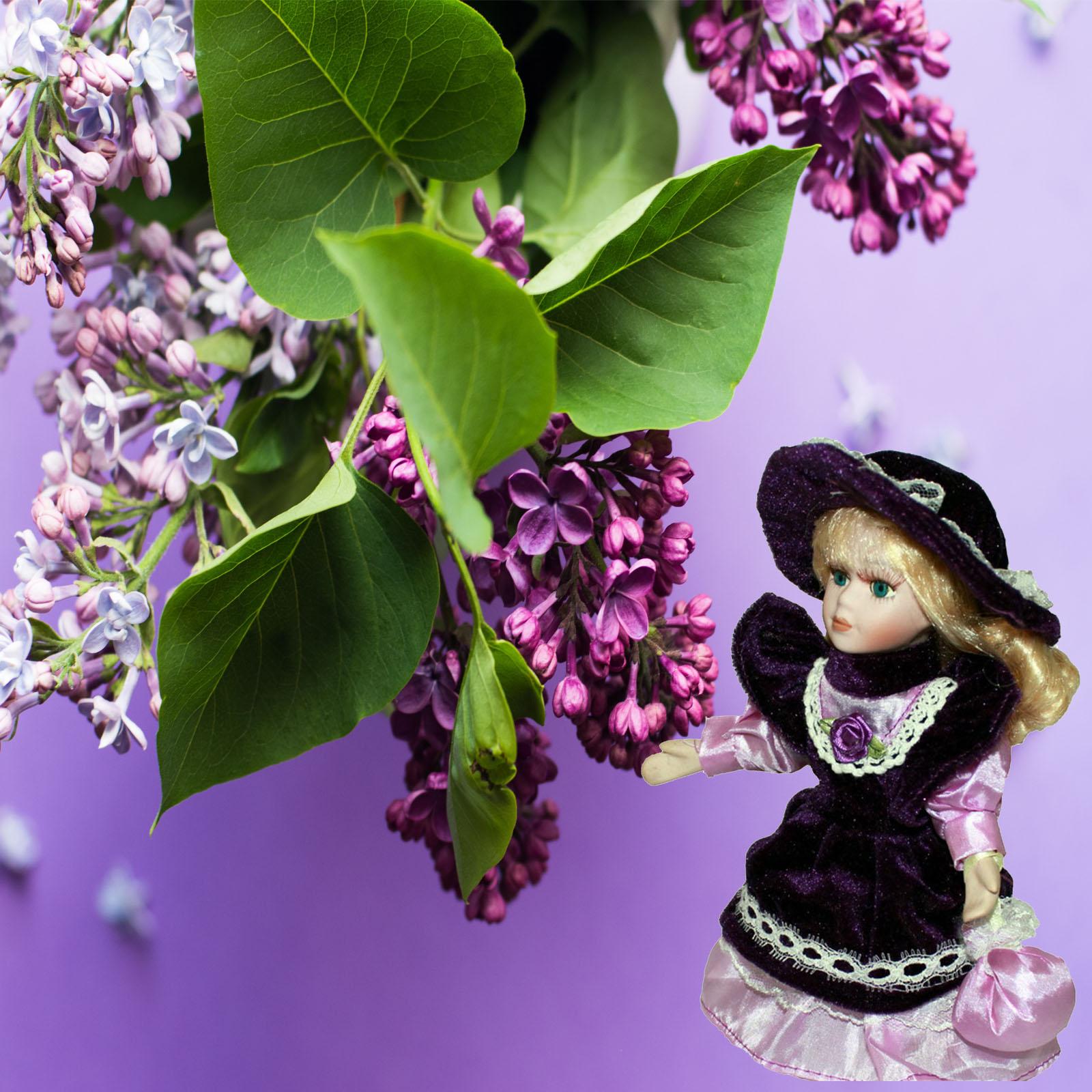 Porcelain Dolls Vintage Cerami - Vintage Collectible Porcelain Dolls review and price